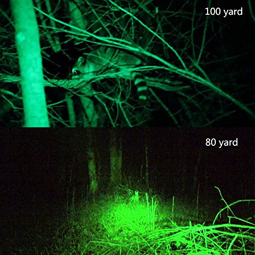 Green Light AR 15 Flashlight with Pressure Switch and Picatinny Rail Mount use with Night Vision Goggles Scope together Hunting Hog Predator