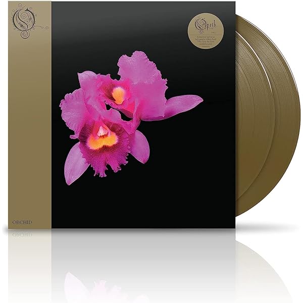 OPETH - Morning Rise - Amazon.com Music
