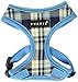 Puppia Spring Harness A, Small, Sky Blue