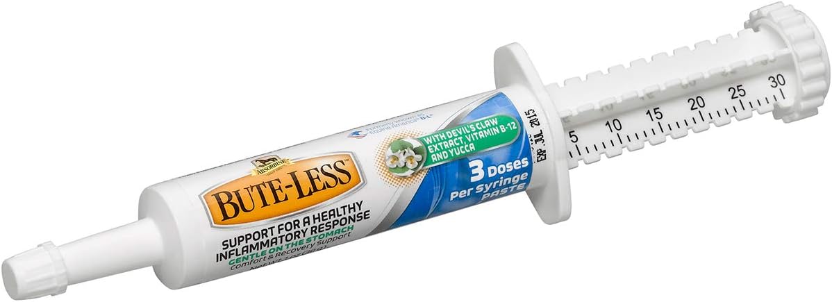 Bute-Less Comfort & Recovery Supplement Paste, 1oz Syringe / 3 Doses: Sports & Outdoors