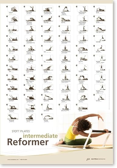 Stott pilates wall chart buy online at best price in uae amazon ae
