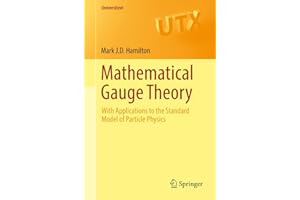 Mathematical Gauge Theory: With Applications to the Standard Model of Particle Physics