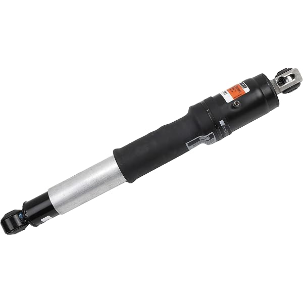 Amazon.com: ACDelco 580-433 GM Original Equipment Front Shock 