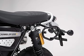 triumph amazon scrambler