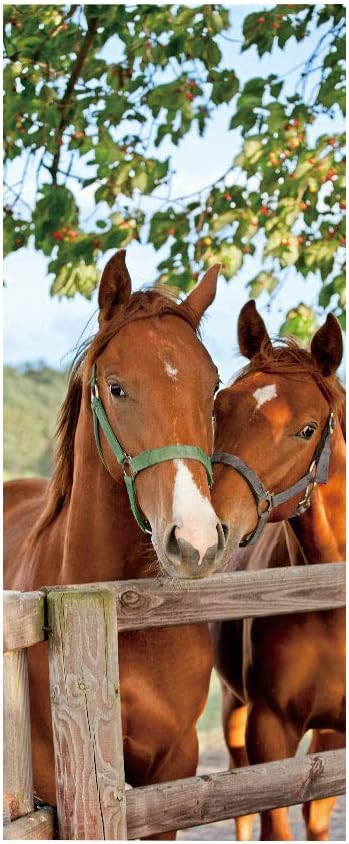 10 Mejores Vallados De Pvc Para Caballos 2020
