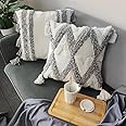 TINYSUN Boho Gray Throw Pillow Covers Set of 2, Super Soft Velvet Pillowcase Winter Pillow Covers with Tassels for Sofa Couch Living Room(Grey-Line,18"x18")