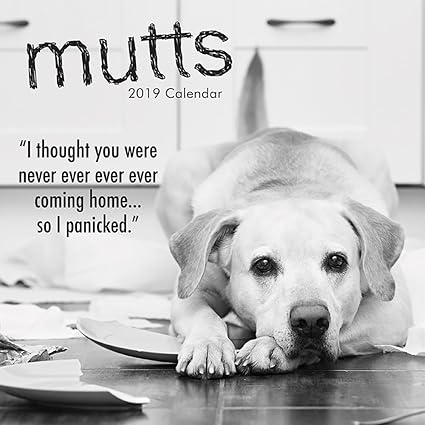 2019 Calendario Della Parete 2019 Mutts E Calendario Cani 30 X 30 Centimetri Calendario Mensile In Inglese 16 Mese Citazioni Divertenti Tema Comprende 180 Adesivi Promemoria Amazon It Cancelleria E Prodotti Per Ufficio