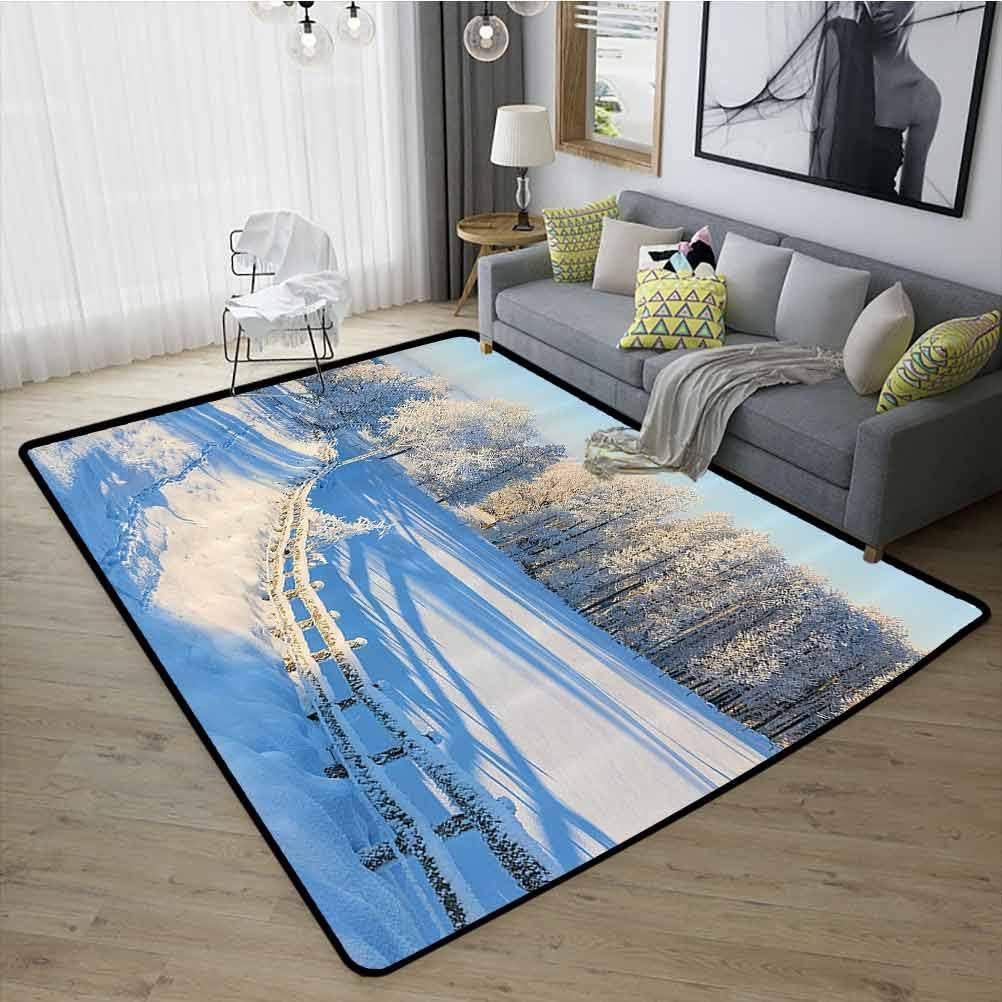 Alfombra para decoración de casa de granja moderna, supersuave, moderna