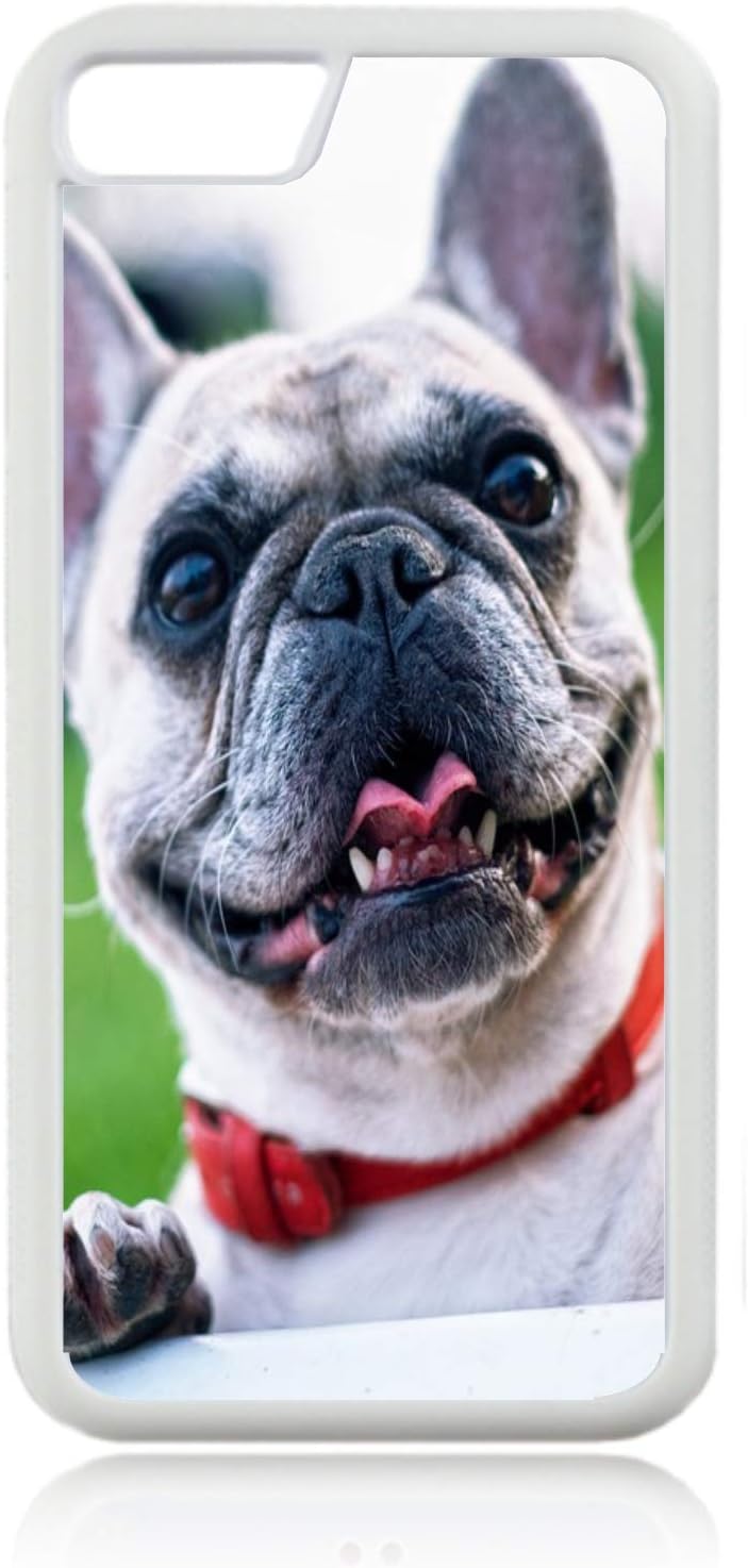 french bulldog accessories amazon