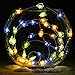 Impress Life Nautical Themed Christmas Decorations, Tropical Small Fish Led Blue Green Orange Battery-Powered String Lights 10ft 40 Led Silver Wire with Remote for Patio, Porch, Bedroom