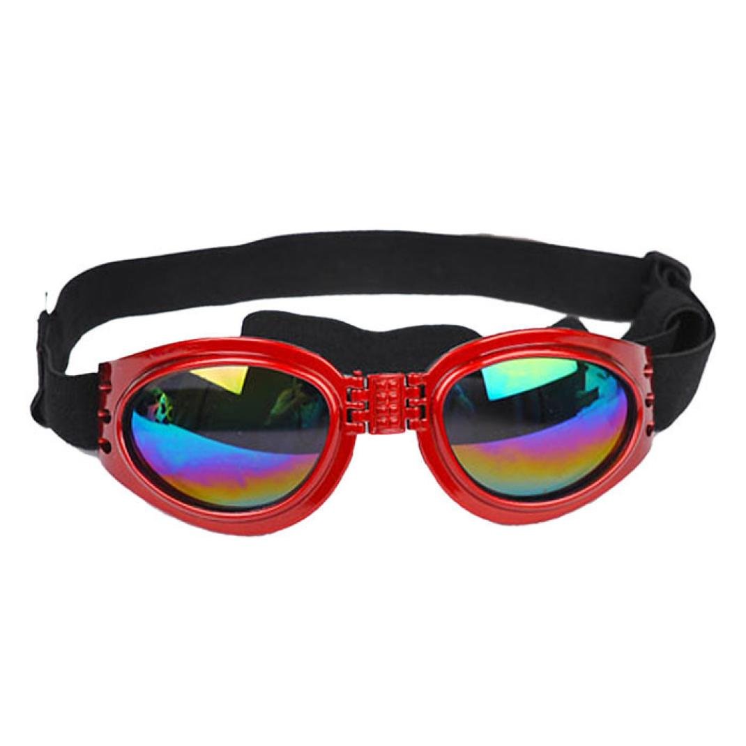 red dog sunglasses