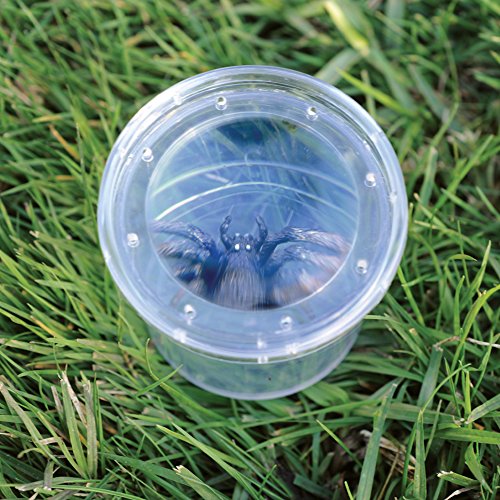 Educational Insights GeoSafari Jr. Bug Viewer