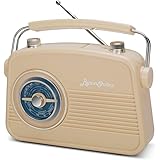 Byron Statics Portable Radio AM FM, Vintage Retro Radio with Built in Speakers, Best Reception and Longest Lasting, Power Plu