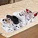 femor Shoe Slots Organizer, Adjustable Shoe Rack Shoe Organizer - Double Layer Stack - Space Saver Storage Rack Holder 10-Pack (9.8Inch，White)