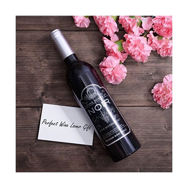 Wine Accessories Gift Set - 5 Pcs Deluxe Wine Opener Bottle Corkscrew Kit, Great Gift for Wine Lover, Gadgets for Men…