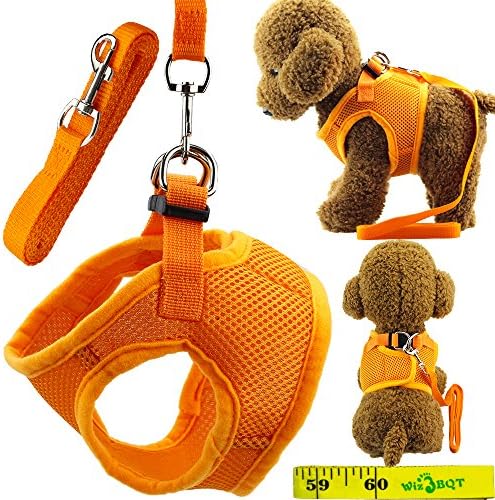 Wiz BBQT Soft Adjustable Mesh Dog Puppy Cat Pet Vest Harness and Leash Set for Dogs Cats Pets