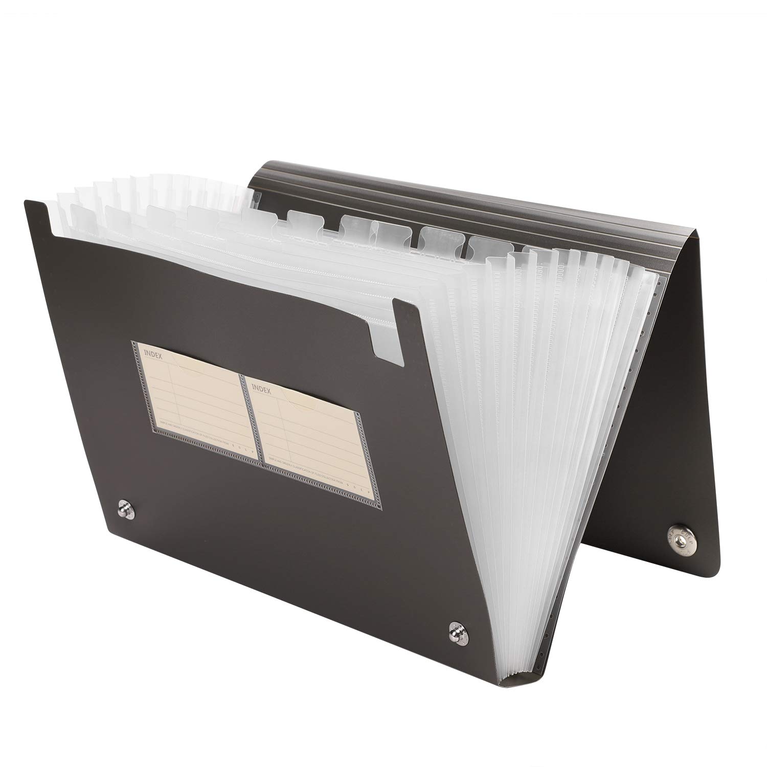Plastic Expanding File Folder with Button Closure A4 Letter Size Document Organizer with 13 Divided Pockets and Replaceable Index Tag Portable Paperwork Folder Bag Office Business Home File Filing Box