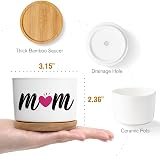 Buioata Mum Gifts Succulent Plant Pots Set of 3 Home Decor view 7