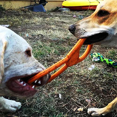 SodaPup: Tug War Dog Toys shaped like a Can Opener + Tough Dog Toys for Large Dogs, USA Made - Orange