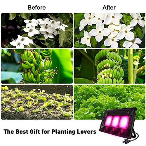 450W COB LED Grow Light, Relassy Outdoor Grow Lights Full Spectrum, Waterproof LED Grow Light Panel, LED Plant Grow Light for Seedling, Flowers, Veg, Natural Heat Dissipation, No Fans