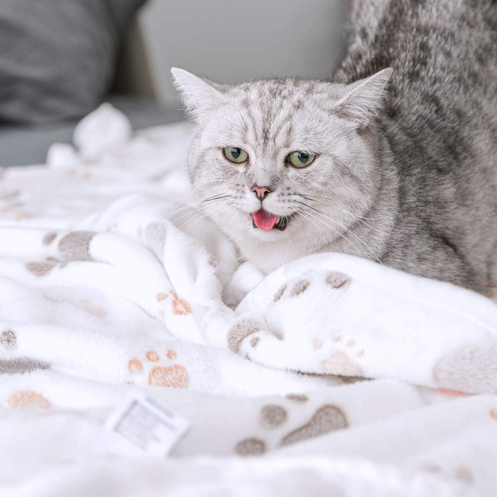 Allisandro 350 GSM-Super Soft and Premium Fuzzy Flannel Fleece Pet Dog Blanket, The Cute Print Design Washable Fluffy Blanket for Puppy Cat Kitten Indoor or Outdoor, White, 39" x 31" : Pet Supplies
