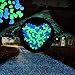 SUNNEST Glow in The Dark Pebbles, Glow Decorative Stones Rocks, Luminous Pebbles for Outdoor Decor, Garden Lawn Yard, Aquarium, Walkway, Fish Tank, Pathway, Driveway(200PCS) (Blue&Green)