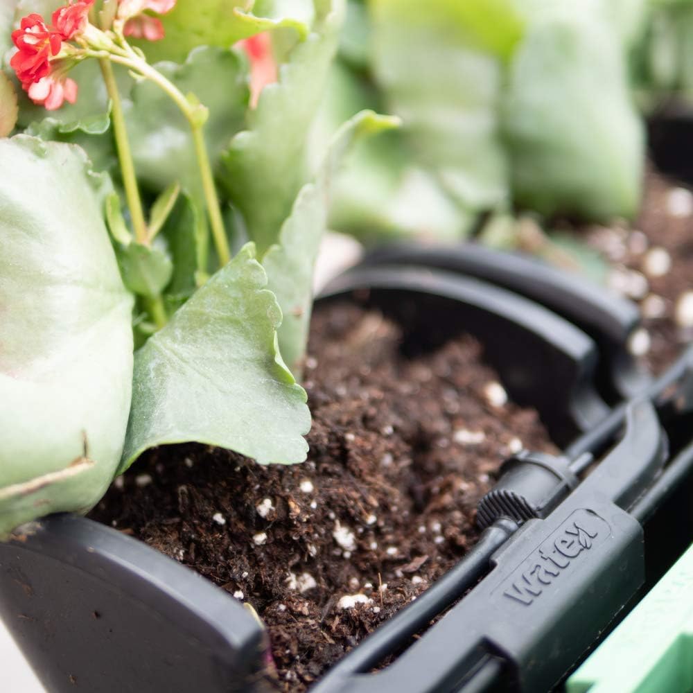 The best balcony irrigation system to make your balcony gardening