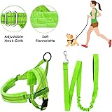 SlowTonNo Pull Small Dog Harness and Leash Set, Puppy Soft Vest Harness Neck & Chest Adjustable, Reflective Lightweight Harness & Anti-Twist Pet Lead Combo for Small Medium Dogs(G,XS)