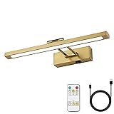 KELIDEN Wireless Picture Light Battery Operated