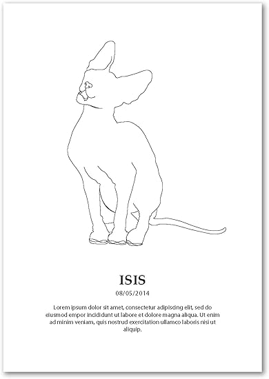 Panorama Poster Chat Sphynx Personalizado 35x50cm Imprimee Sur Poster De Haute Qualite De 250gr Poster Mascottes Cadeau Personnalise Original Tableau Personnalise Amazon Fr Cuisine Maison
