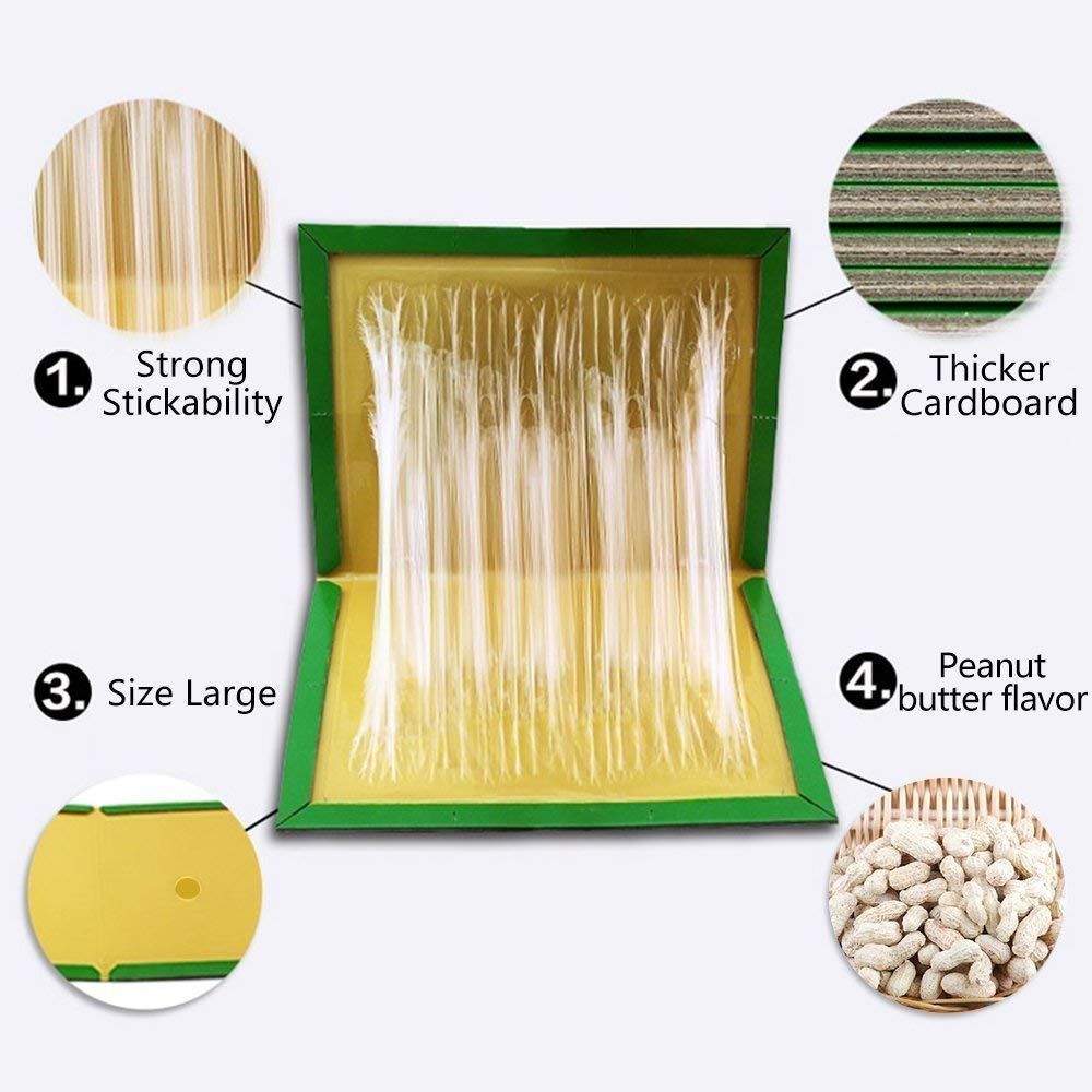 Mouse Glue Trap Sticky Boards Peanut Butter Scented Mice Rat Traps with Professional Strength Glue Kid Pet Safe Easy to Use Best Eco-Friendly Traps Rodents Cockroaches Bugs Ants Spiders (6 Pack)