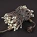 Novelty Lights Warm White LED Christmas String Lights - UL Listed Indoor/Outdoor Light Set w/ 100 Mini Bulbs for Christmas Tree, Patio, Wedding Decor, and More - (Brown Wire, 34' Long)