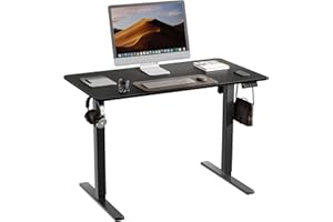 ERGOMAKER 43" Electric Standing Desk, Height Adjustable, Sit Stand Up Desk for Home Office & Computer Workstations, Memory Controller, Black