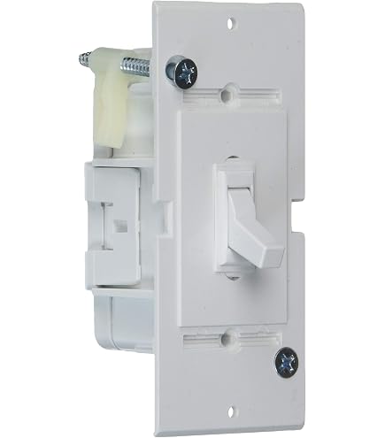E-160C Single Conventional Switch White - Amazon.com