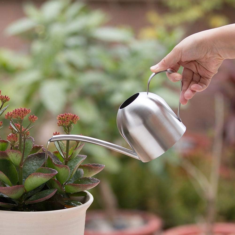 Arrosoir En Acier Inoxydable 1 Litre Avec Poignée En Bois | Bec Long Précis | Design Moderne Blanc | Pour Plantes D'intérieur Et Succulentes