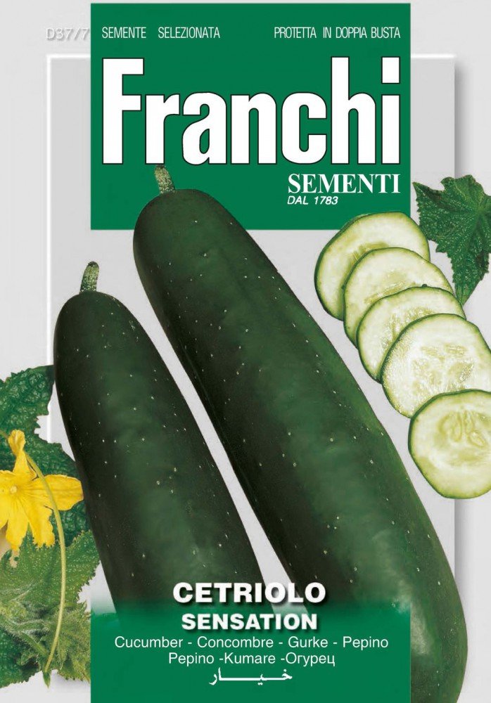 Cucumber Seeds – Cucumber Sensation of Franchi Sementi