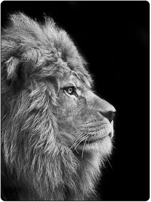 Amazon Co Jp 家の旅行 ポリエステルのための極度の柔らかく黒いライオンは毛布を投げます 150x0 ホーム キッチン