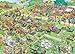 Jumbo Jan Van Haasteren Lawn Mower Race Jigsaw Puzzle (2000 Piece)