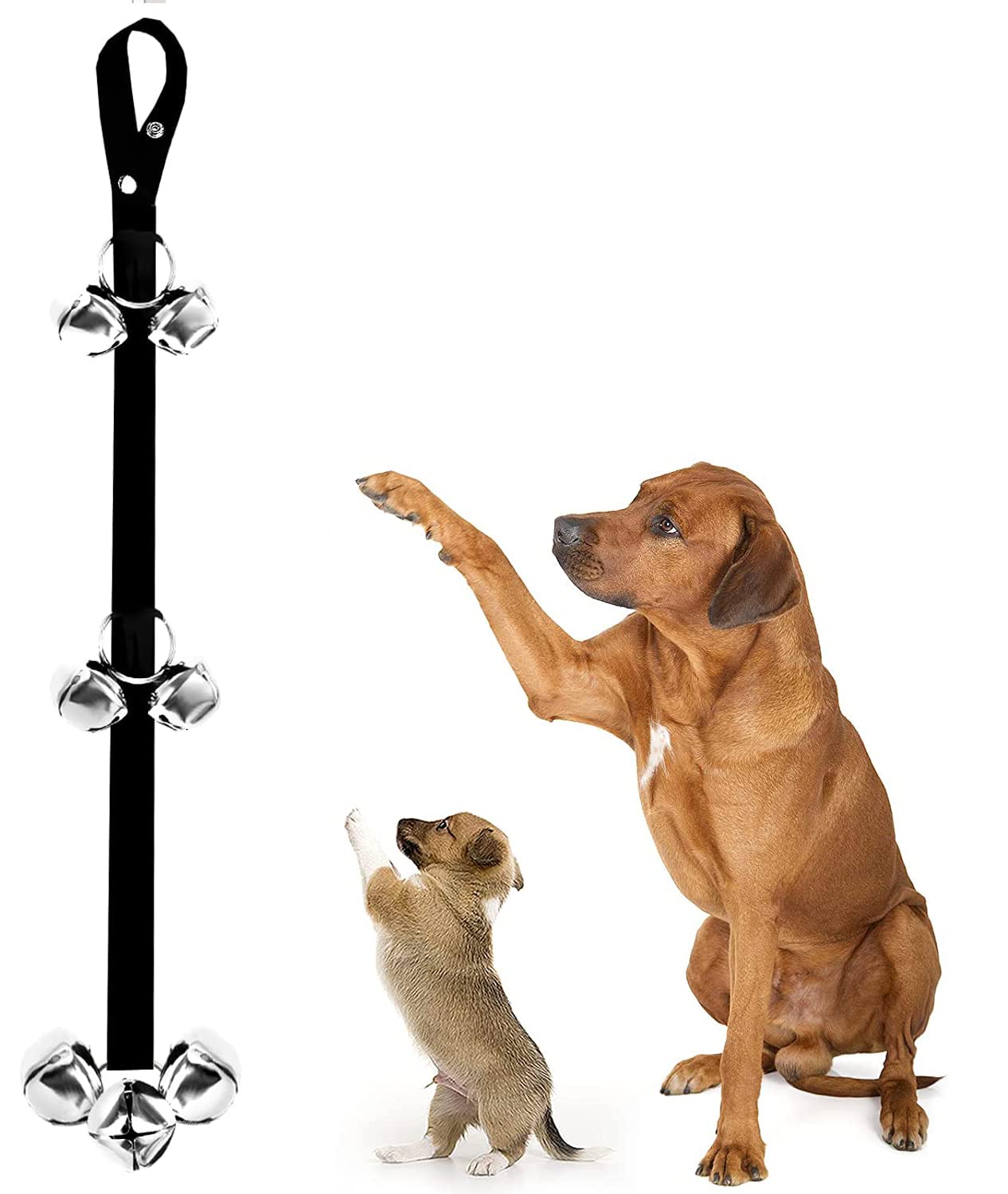 DDSHUN Dog Training Doorbells, Dog Doorbells, Puppy Toilet Training Bells, Adjustable Strap Door Bell for Door, Suitable for Any Doorknob, Fits for All Dogs (7 Extra Large Loud Doorbells