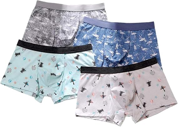 Amazon Ainial ショーツ メンズ ボクサー 前閉じ 綿 モダール 柔らかい ボクサーパンツ 立体成型 下着 男性 通気吸汗 快適 肌着 インナー おしゃれ ボクサーブリーフ トランクス 2枚 4枚セット ボクサー 通販