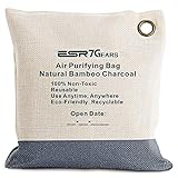 ESR Bamboo Charcoal Air Purifying Bag 210g One-Pack Charcoal Bags in Grey Color