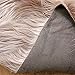 LEEVAN Rectangle Sheepskin Rug Supersoft Fluffy Area Rug Shaggy Silky Throw Rug Floor Mat Carpet Decoration (3 ft x 5 ft, Coffee)