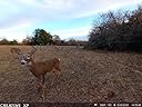 Fast transmitting cellular camera, under 30 seconds.