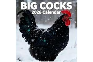 2026 Wall Calendar Roosters, Funny Big Cocks Chicken Wall Calendar 12 Monthly 2026, Farm Funny Animal Decorativecalendar for 