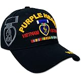 DANKONGOfficial Licensed US Warriors Military Hat