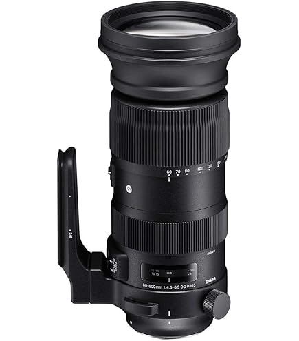 Amazon.com : Sigma 60-600mm f/22-32 Fixed Zoom F4.5-6.3 DG OS HSM