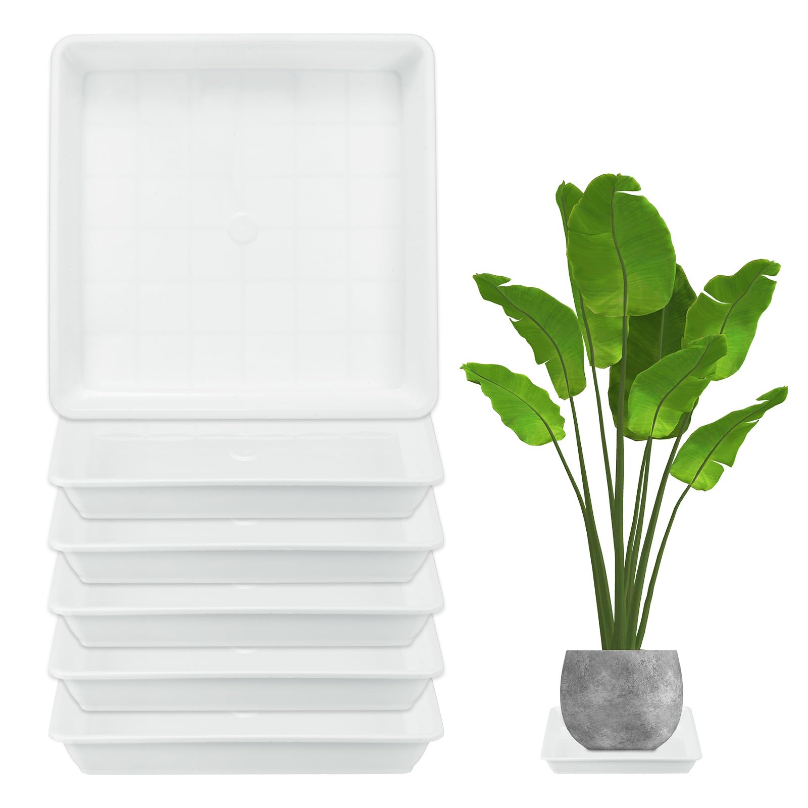 M METERXITY 6-Pack Plant Pot Saucers, 7 Inch 18cm Plastic Square Flower Drip Tray, Pot No Holes Durable Plant Trays for Pots Base Indoors/Outdoors Plants [White]