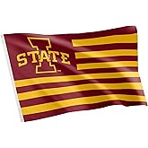 Desert Cactus Iowa State University ISU Flag - 3 x 5 Feet Cyclones Banner, Indoor/Outdoor Durable Fabric, 100% Polyester Design (Style Nation)