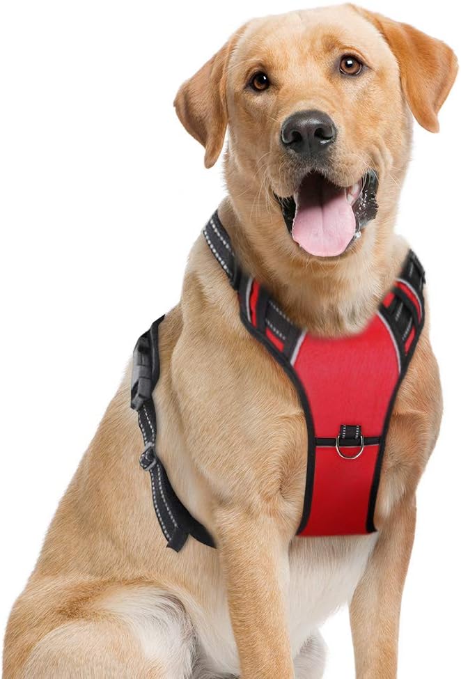 PETDOM Dog Harness No Pull with Front Clip, Adjustable Reflective Pet Harness with 2 D-Rings, Padded Puppy Vest with Handle, Easy Walk for Small Medium Large Dogs (L, Red)