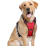 PETDOM Dog Harness No Pull with Front Clip, Adjustable Reflective Pet Harness with 2 D-Rings, Padded Puppy Vest with Handle, Easy Walk for Small Medium Large Dogs (L, Red)